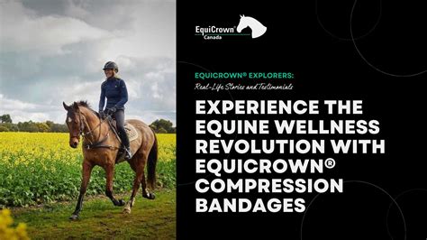 equicrown erfahrungen.